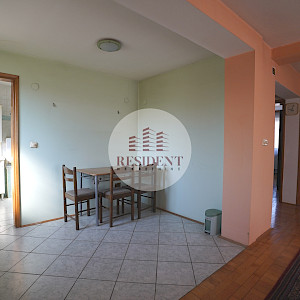 SELNICA ŠĆITARJEVSKA dvije kuće + pomoćni objekti, zemljište 4850 m2, blizu Zračne luke Zagreb